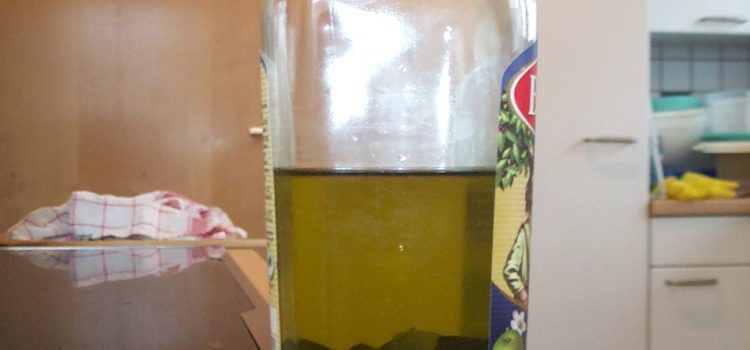 Bärlauch-Öl